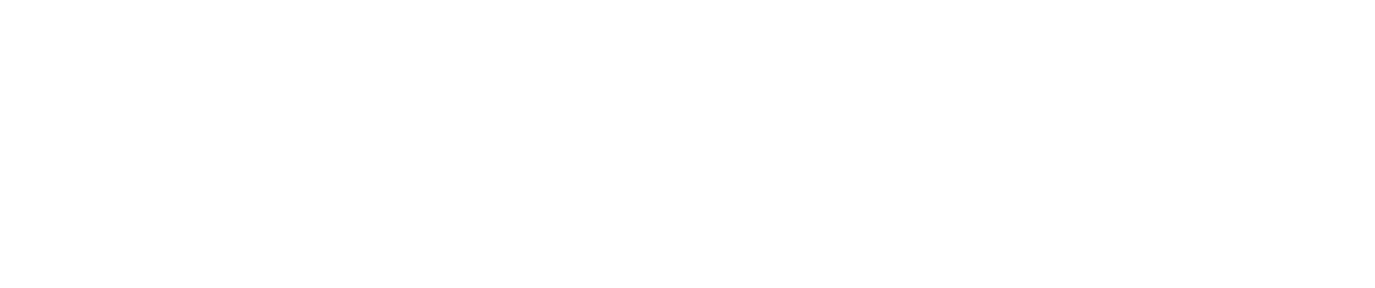 Nuna TRVL dubl — official Nuna